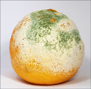 ׸Դϴ.
 ׸ ̸: CLP000016580005.bmp
 ׸ ũ:  503pixel,  487pixel